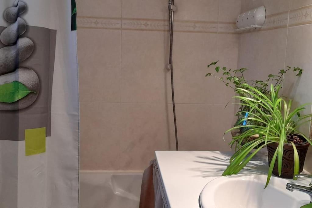 Le Chausse A Bres Chambre D'Hotes 2 Payzac  Exterior foto